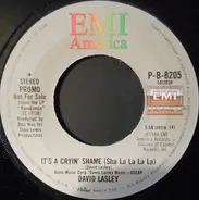 David Lasley - It's A Cryin' Shame (Sha La La La La) / Euripides Meets The Shangri-Las