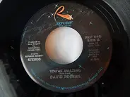 David Rogers - You're Amazing / Farewell to Arms