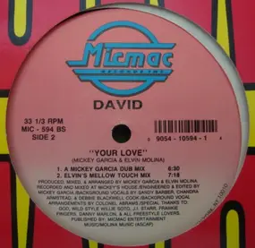 The David - Your Love