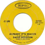 David Houston - Already It's Heaven / Lighter Shade Of Blue