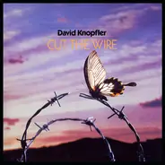 David Knopfler - Cut the Wire