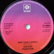 David Parton - Isn't She Lovely