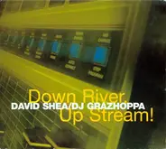David Shea / DJ Grazzhoppa - Down River, Up Stream!