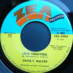 David T. Walker - Love Vibrations / Doo Doo