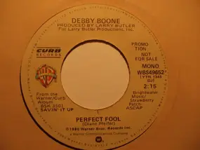 Debby Boone - Perfect Fool