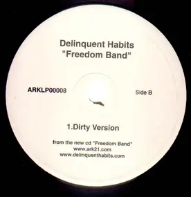 Delinquent Habits - Freedom Band