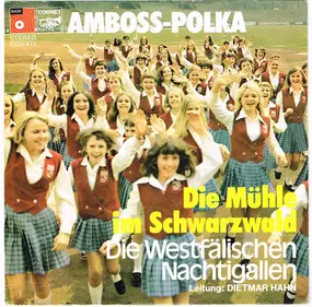 Die Westfälischen Nachtigallen - Amboss-Polka