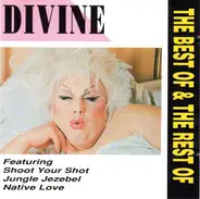 Divine - The Best Of & The Rest Of