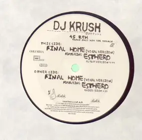 D.J.Krush - Final Home
