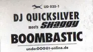 DJ Quicksilver Meets Shaggy - Boombastic