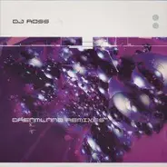 DJ Ross - Dreamland (Remixes)