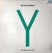 DJ Scot Project - Y (How Deep Is Your Love?)