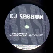 DJ Sebrok - Voicecontrol