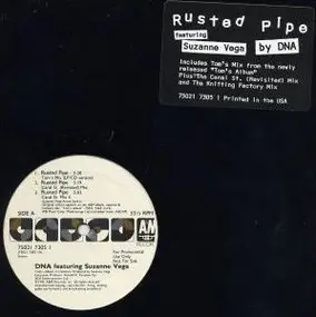 Suzanne Vega - Rusted Pipe