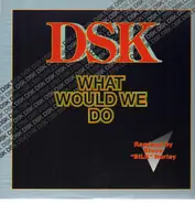 Dsk - What Would We Do