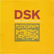Dsk - What Would We Do?