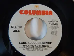 The Earl Scruggs Revue - I Could Sure Use The Feeling