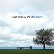 Eleventh Dream Day