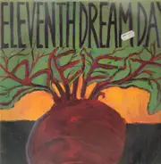 Eleventh Dream Day - Beet