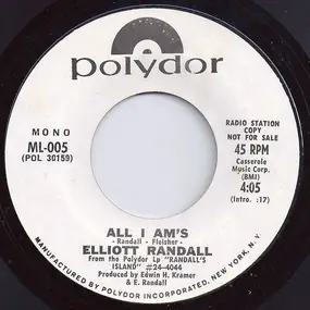 Elliott Randall - All I Am's
