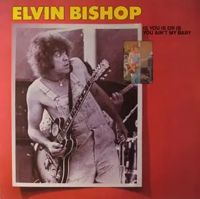 Elvin Bishop - Is You Is or Is You Ain't My Baby