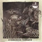 Evergreen Terrace