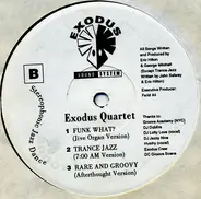 Exodus Quartet - Perfect Vibe