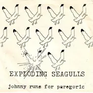 Exploding Seagulls - Johnny Runs For Paregoric