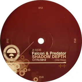The Falcon - Shadow Depth / Retro (Noisia Remix)