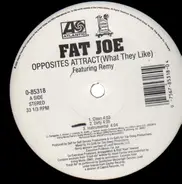 Fat Joe - Opposites Attract