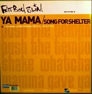 Fatboy Slim - YA MAMA