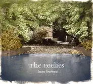 Feelies - Here Before
