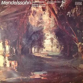 Felix Mendelssohn-Bartholdy - Jugendsinfonien: Sinfonia X H-moll / Sinfonia XI F-moll