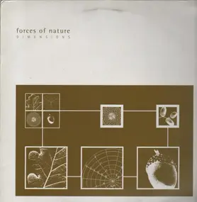Forces of Nature - Dimensions