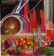 Flaming Lips - Onboard The International