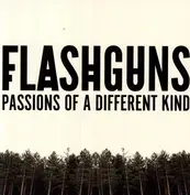 Flashguns