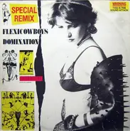 Flexi Cowboys - Domination (Remix)