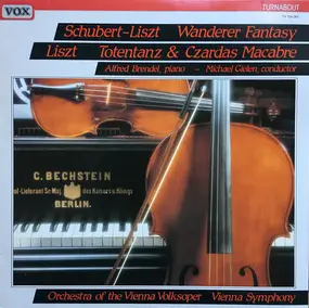 Franz Schubert - Wanderer Fantasy / Totentanz / Csárdás Macabre