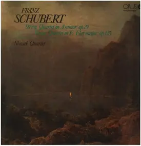 Franz Schubert - Sláčikové Kvartetá