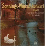 Fritz Kreisler / Franz Drdla / Isaac Albéniz a.o. - Sonntags-Wunschkonzert Folge II - Aus dem Zauberreich der Musik
