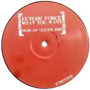 Future Force - What You Want (2006)