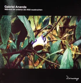 Gabriel Ananda - Während Die Anderen Den Müll Rausbrachten