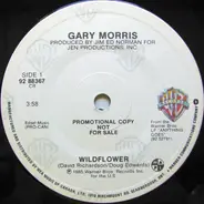 Gary Morris - Wildflower