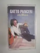 Gatto Panceri - Stellina