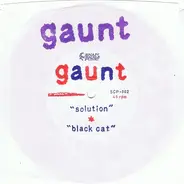 Gaunt - Solution