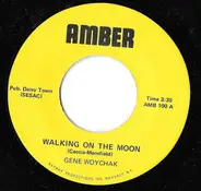 Gene Woychak , Jim Caccia Trio - Walking On The Moon / Brown Eyes