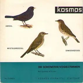 Gerhard Thielcke - Die Schönsten Vogelstimmen: Amsel, Singdrossel, Mistdrossel