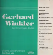 Gerhard Winkler, Berolina Sound Orchestra, Siegfried Mai - Ein Komponisten-Portrait