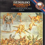 Gesualdo - Madrigals From Book VI; Collegium Vocale Köln