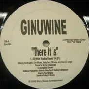 Ginuwine - There It Is